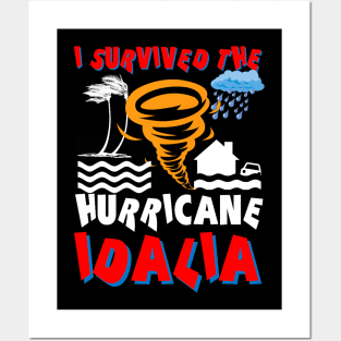 I survived the Hurricane Idalia Posters and Art